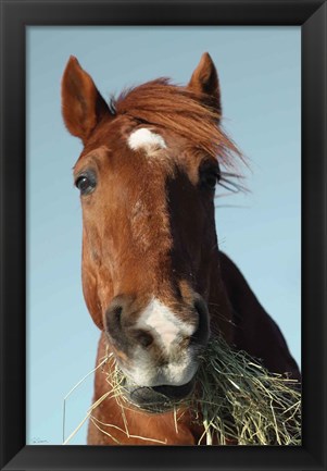 Framed Feeding Time Print