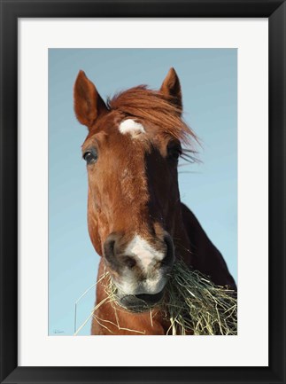 Framed Feeding Time Print