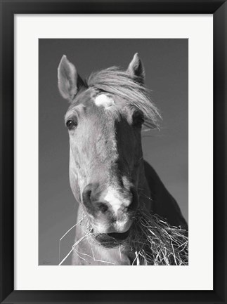 Framed Feeding Time v2 Print