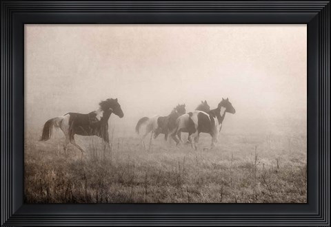Framed Paint Horses on the Run Print