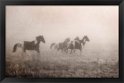 Framed Paint Horses on the Run Print