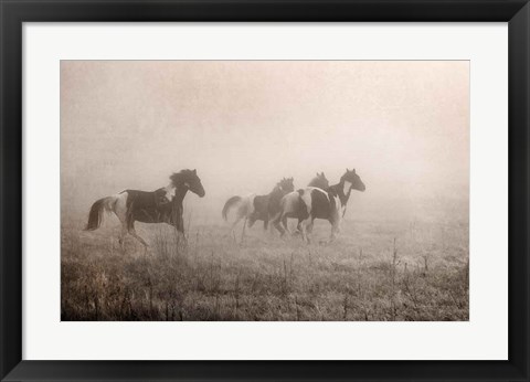 Framed Paint Horses on the Run Print