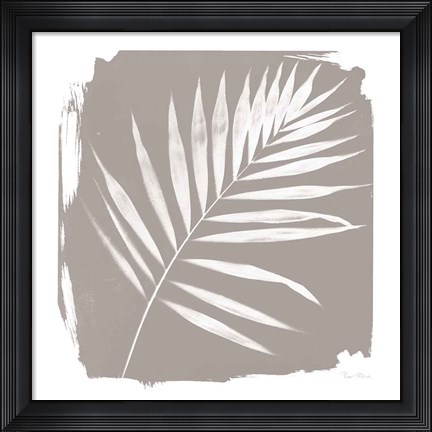 Framed Nature By The Lake - Frond II Sq Print