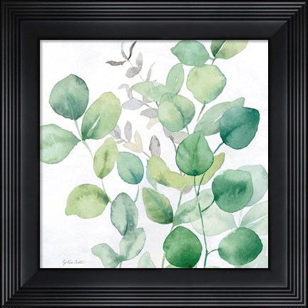 Framed Eucalyptus Leaves I Print
