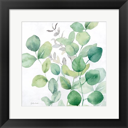 Framed Eucalyptus Leaves I Print