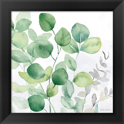 Framed Eucalyptus Leaves II Print