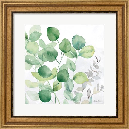 Framed Eucalyptus Leaves II Print