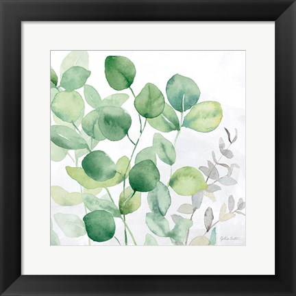 Framed Eucalyptus Leaves II Print