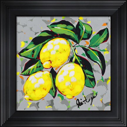 Framed Fruit Sketch Lemons Print