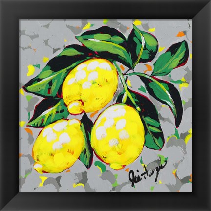 Framed Fruit Sketch Lemons Print