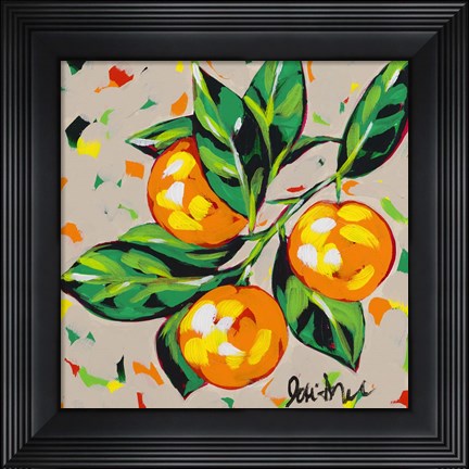 Framed Fruit Sketch Oranges Print