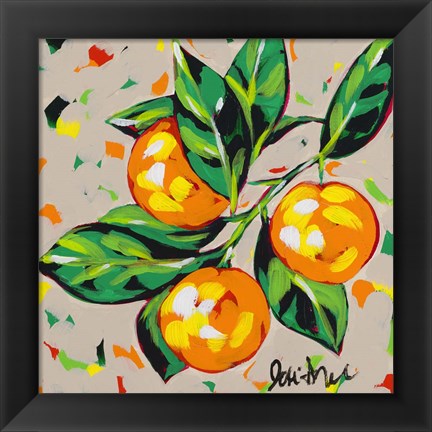 Framed Fruit Sketch Oranges Print