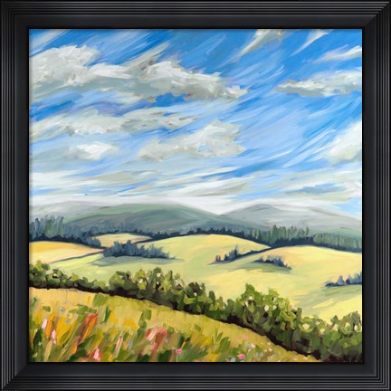 Framed Wildeflower Meadow Print