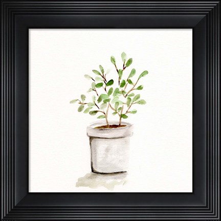 Framed Potted Botanicals I Print