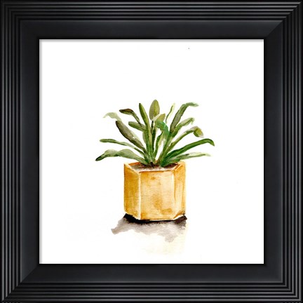 Framed Potted Botanicals II Print