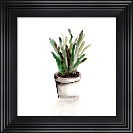Framed Potted Botanicals III Print