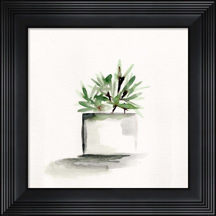 Framed Potted Botanicals IV Print