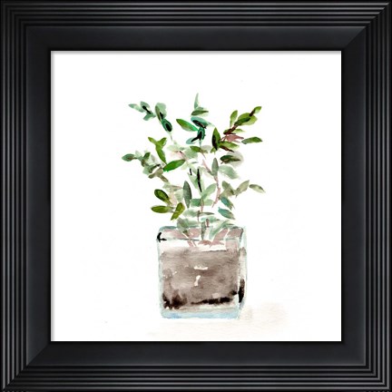 Framed Potted Botanicals V Print