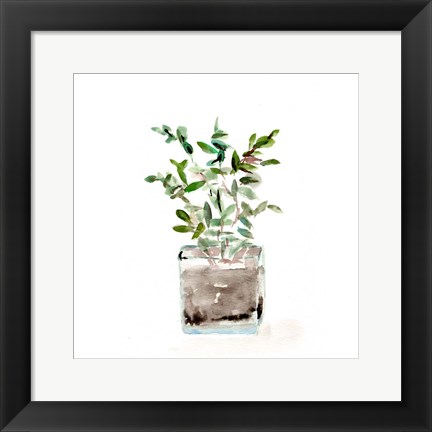Framed Potted Botanicals V Print