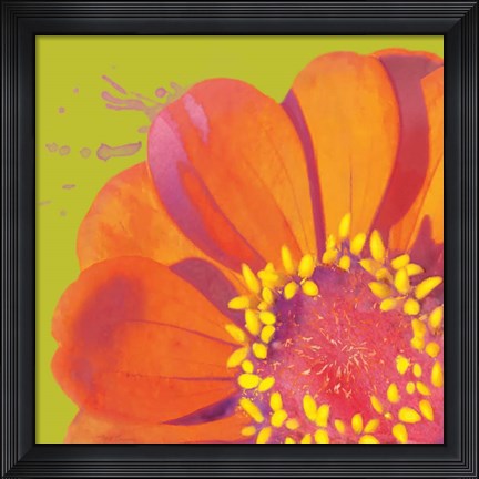 Framed Flower Pop I Print