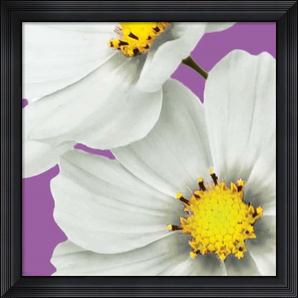 Framed Flower Pop II Print