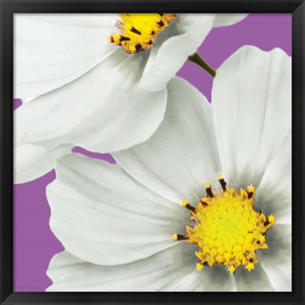 Framed Flower Pop II Print