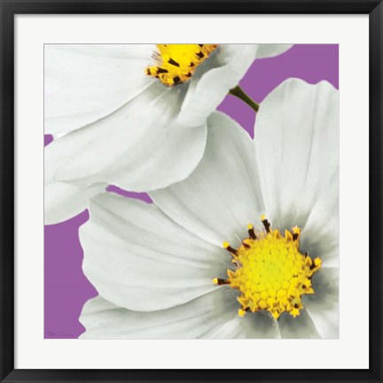 Framed Flower Pop II Print