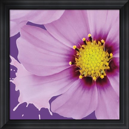 Framed Flower Pop III Print