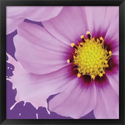 Framed Flower Pop III Print