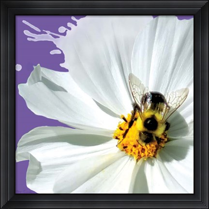 Framed Flower Pop IV Print