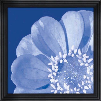 Framed Flower Pop blue I Print