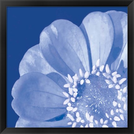 Framed Flower Pop blue I Print