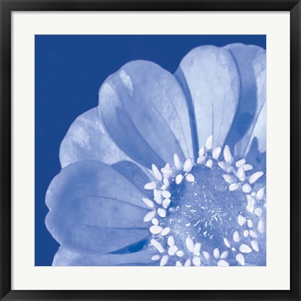 Framed Flower Pop blue I Print