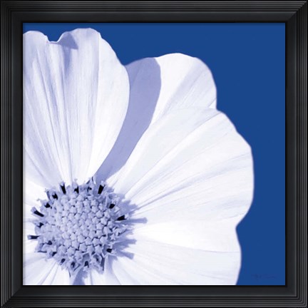 Framed Flower Pop blue III Print