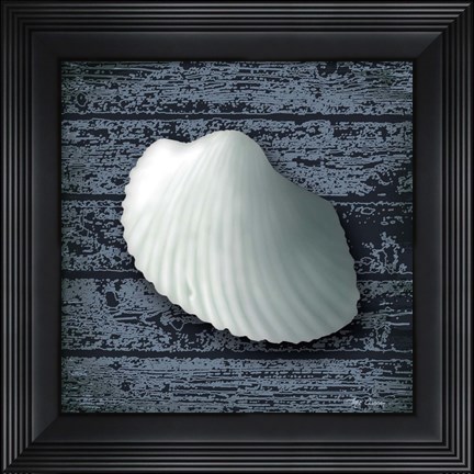 Framed Seashore Shells Navy I Print