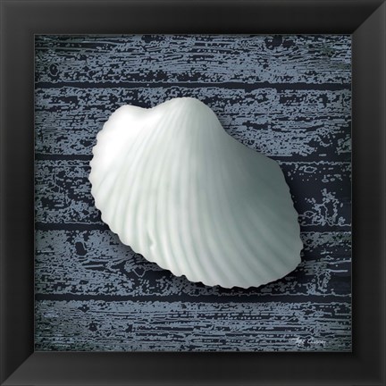 Framed Seashore Shells Navy I Print