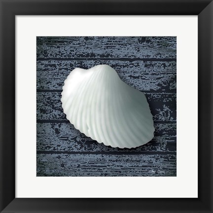 Framed Seashore Shells Navy I Print