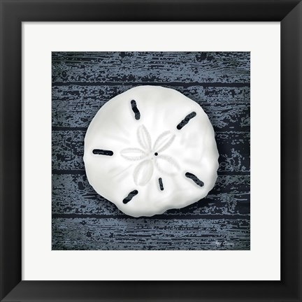 Framed Seashore Shells Navy II Print
