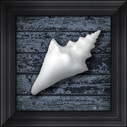 Framed Seashore Shells Navy III Print