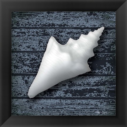 Framed Seashore Shells Navy III Print