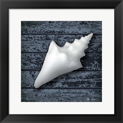 Framed Seashore Shells Navy III Print