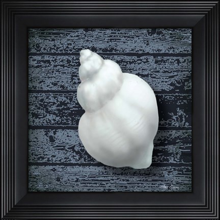 Framed Seashore Shells Navy IV Print