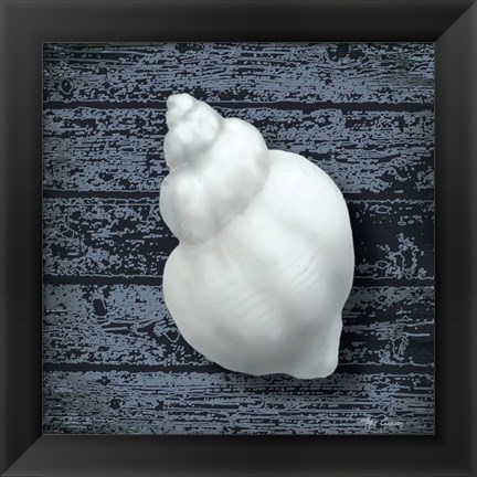 Framed Seashore Shells Navy IV Print