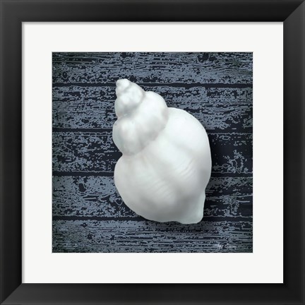 Framed Seashore Shells Navy IV Print