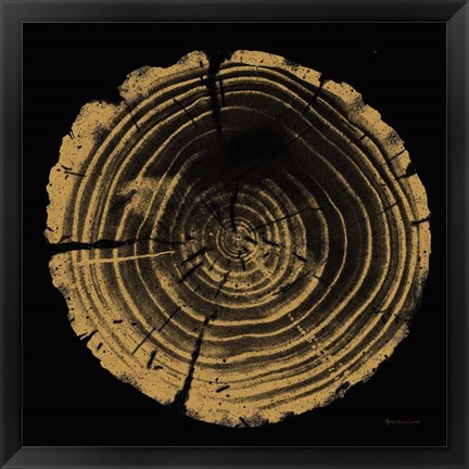 Framed Tree Trunk II Print