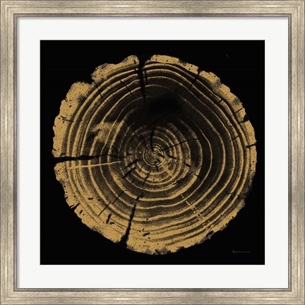 Framed Tree Trunk II Print
