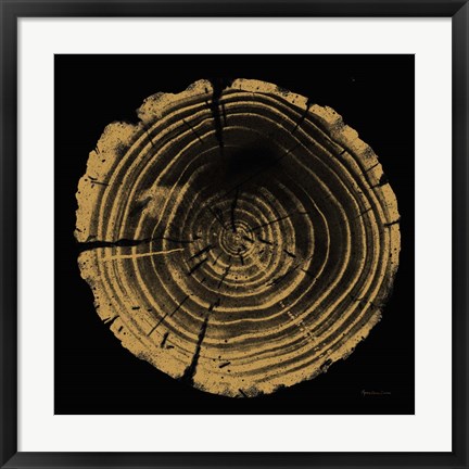 Framed Tree Trunk II Print