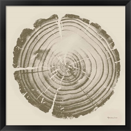 Framed Tree Trunk cream II Print