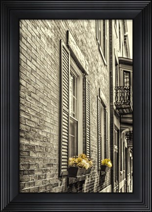 Framed Window Boxes Print