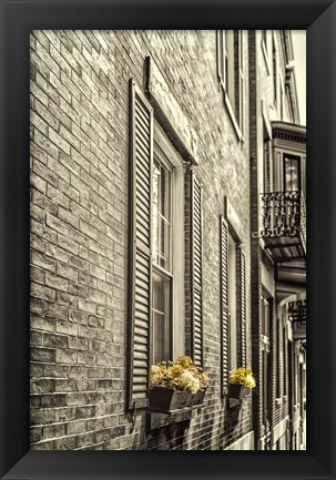 Framed Window Boxes Print